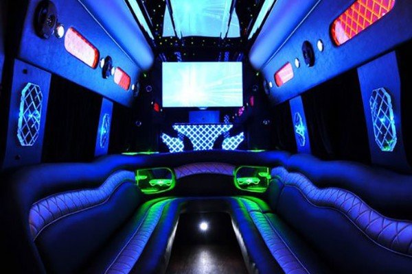 9 Seater Party Bus